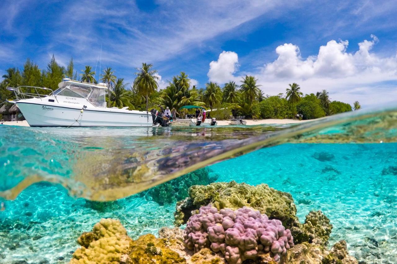 Ninamu Resort Tikehau Exterior photo